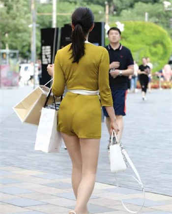 一个达不溜和宠物互动