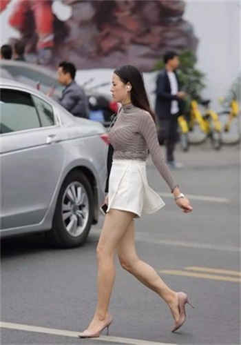 章鱼搜索类似的网站