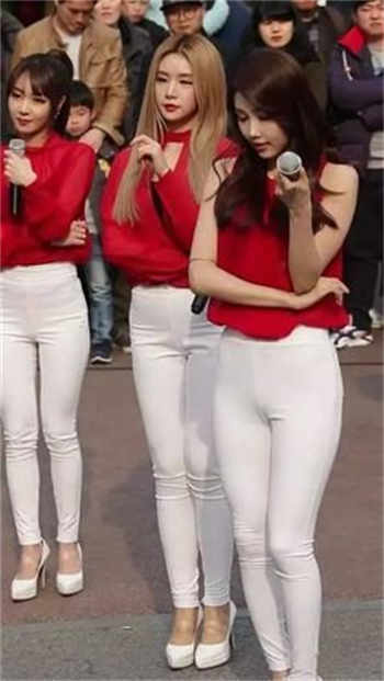 杨振秦丽小说主角