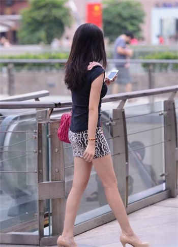 鲨鱼磁力app官网