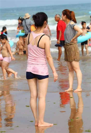 see系列有多少部