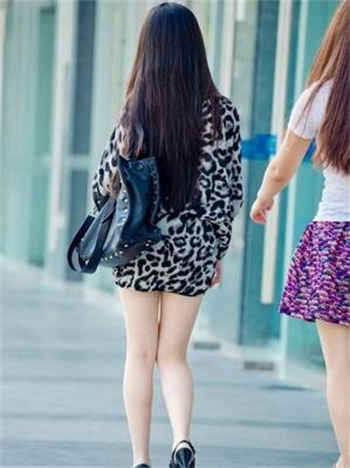 宠师入骨by