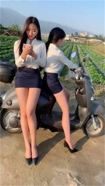 timing软件怎么没了