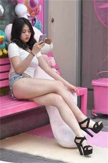 万能女友诸葛大力