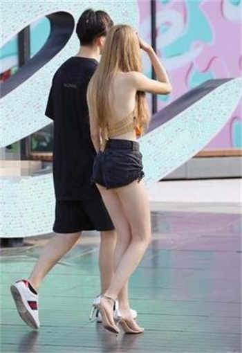 苏晚陆庭尧免费阅读