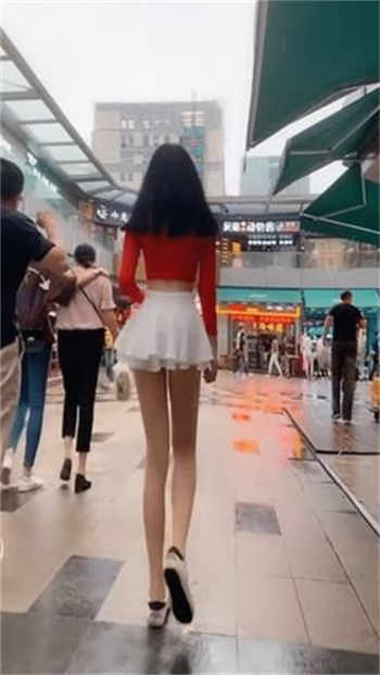 沈樵与七询老农