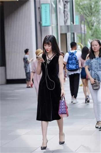 仔仔网在线