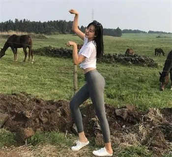 小妲己官网入口