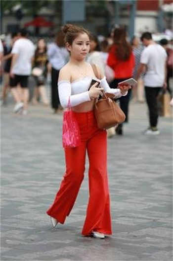 谁有兔子先生里面的资源